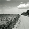 Oregon Trail Road, Near Bayard, Nebraska