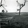 View From I-94, Near Taylor, North Dakota