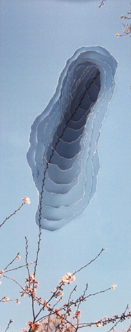 Cherry Branch Reaching