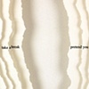 Detail of One Square Foot of a Place to Focus/An Excuse for Staring at the Wall
