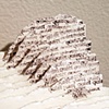 A Little Quiet (Detail)