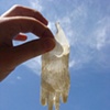 Little Glove