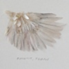 Wing Study- Bushtit (detail)