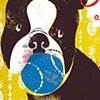 B is for Boston Terrier