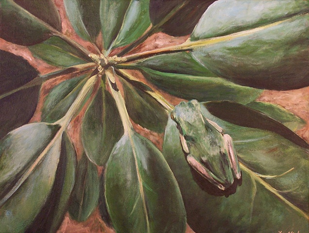 Green Frog