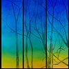 12.13.06, 4:43pm (triptych)