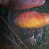 Moral Fiber, (Wild Mushrooms #1)