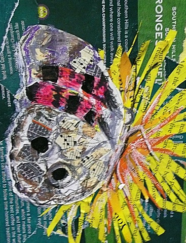butterfly