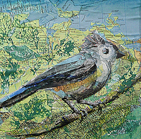 Tufted Titmouse