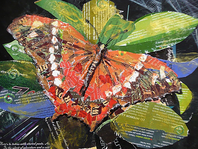 butterfly