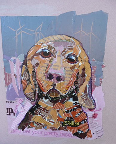 Dog's Eye View  series