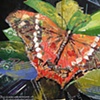 Butterfly Fatima