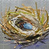 Robin's Nest