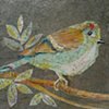 Ruby Crowned Kinglet