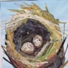 Nest 2