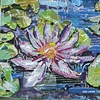 waterlily purple