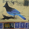 mixed media Stellar Jay and Stamps