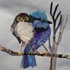 Blue Mama and Chick