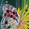 Butterfly :Painted Lady