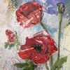 Red Poppy