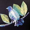 Indigo Bunting
