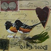 mixed media Rufus Sided Towhee