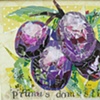 Prunus Domestica