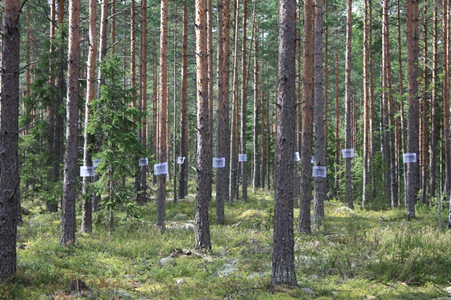 Everyman's Law
Installation Hämeenkyrö, Finland.