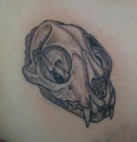 skull
