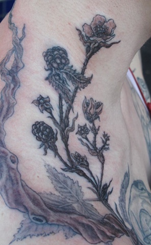 Blackberries on neck