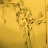 300 Post-it Notes of Cracks in Harder Hall [detail]