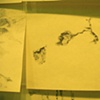 300 Post-it Notes of Cracks in Harder Hall [detail]