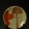 Mushroom Plate