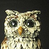 White Owl