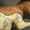 Tattooed Rabbit (detail)