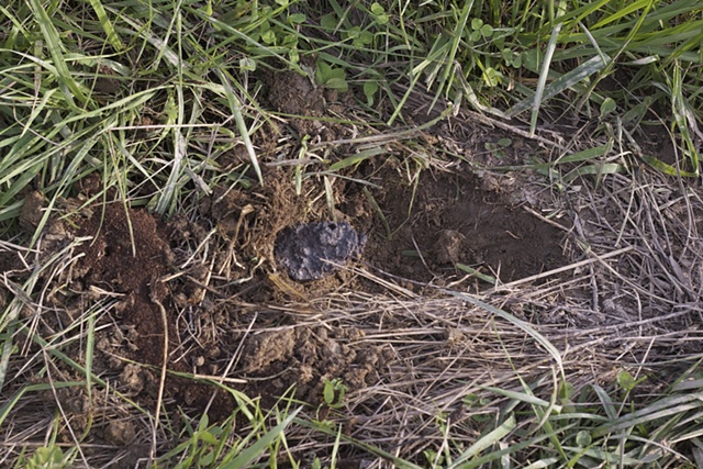Meteorite