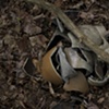 Burial