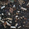 Dem Bones, site of ritual killing