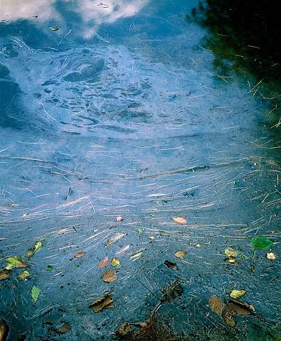 Oil Spill 2