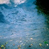 Oil Spill 2