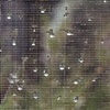 Raindrops in a window screen