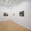 What You Wish For Installation
AWOL Gallery