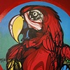 parrot at ramada inn hollywood