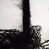 Deposition Detail