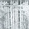 DRAWINGS 2010-2012