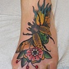 Rhino Beetle