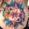 Koi
