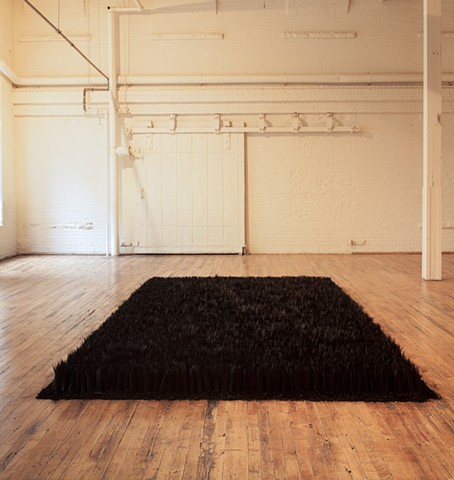 Lauren Fensterstock Colorless Field paper 