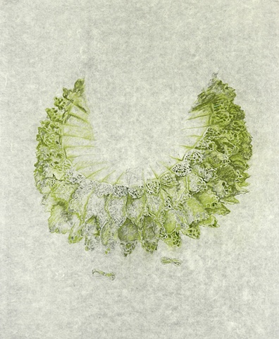 Mistaken Identity: This is Not my Anne Boleyn (Green Collar)