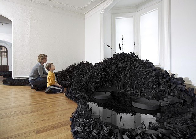 Celebration of Formal Effects, Whether Natural or Artificial (Parlor Gallery detail)